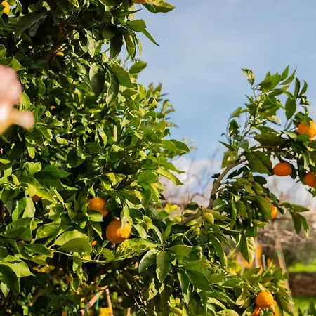 Dom wakacyjny Garden House Kablar Pula