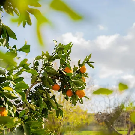 Garden House Kablar * Pula