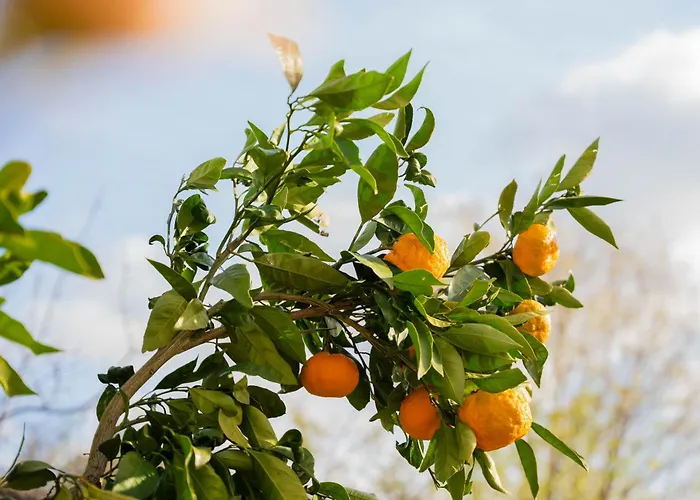 Σπίτι διακοπών Garden House Kablar Πούλα