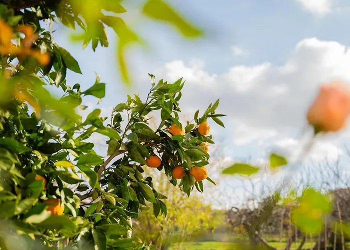 Garden House Kablar * Πούλα